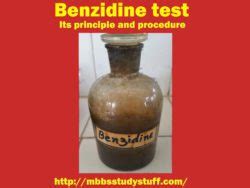 Benzidine test – Its principle, reagents and procedure.
